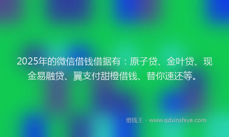 2025年的微信借钱借据有：原子贷、金叶贷、现金易融贷、翼支付甜橙借钱、替你速还等。