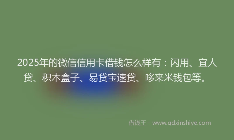 2025年的微信信用卡借钱怎么样有：闪用、宜人贷、积木盒子、易贷宝速贷、哆来米钱包等。