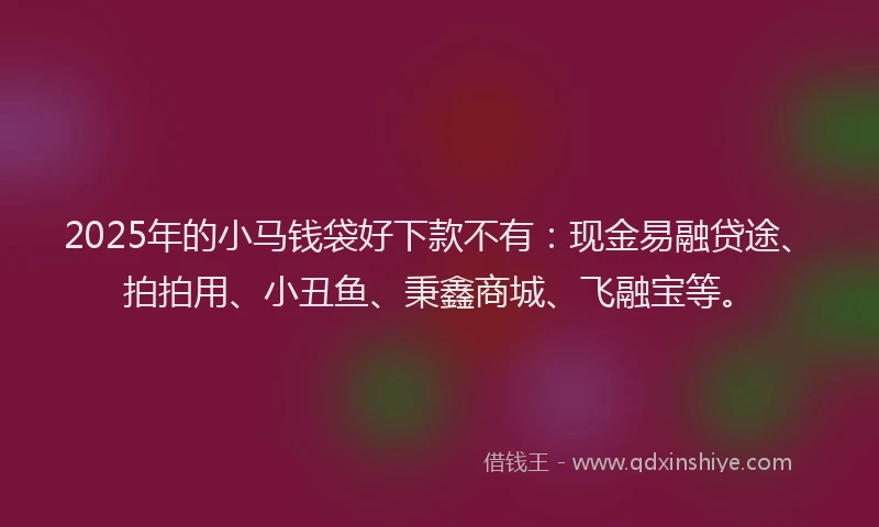 2025年的小马钱袋好下款不有：现金易融贷途、拍拍用、小丑鱼、秉鑫商城、飞融宝等。