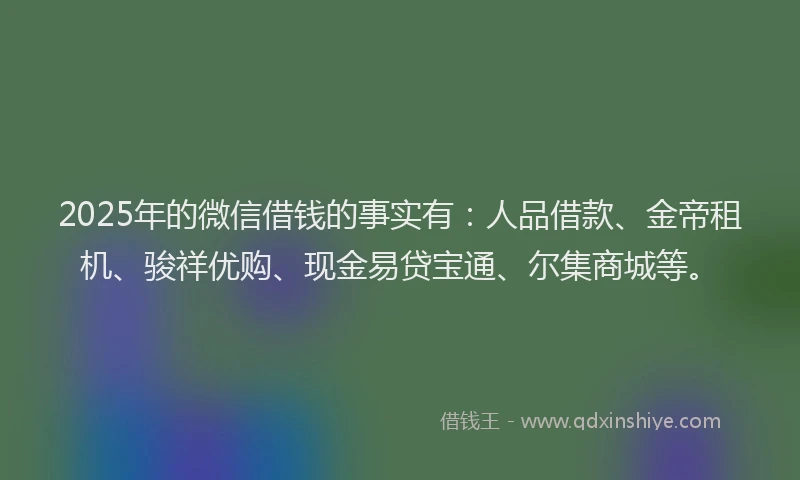 2025年的微信借钱的事实有：人品借款、金帝租机、骏祥优购、现金易贷宝通、尔集商城等。