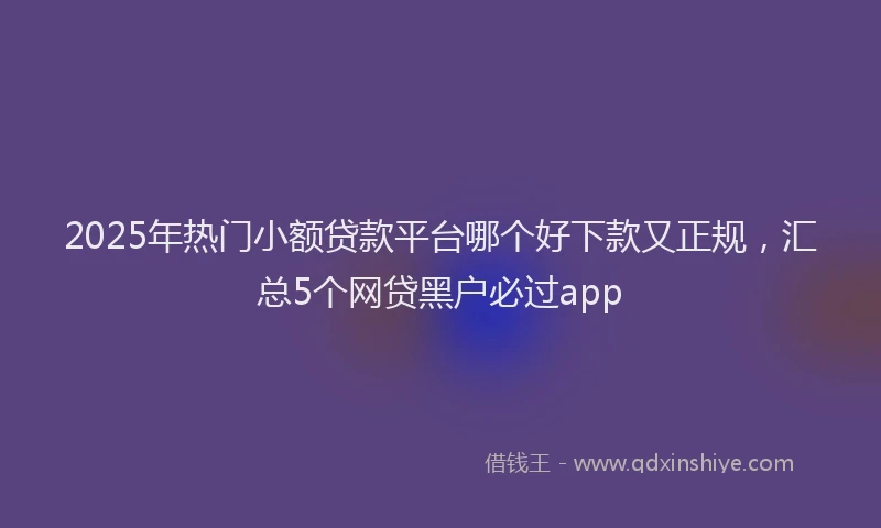 2025年热门小额贷款平台哪个好下款又正规，汇总5个网贷黑户必过app