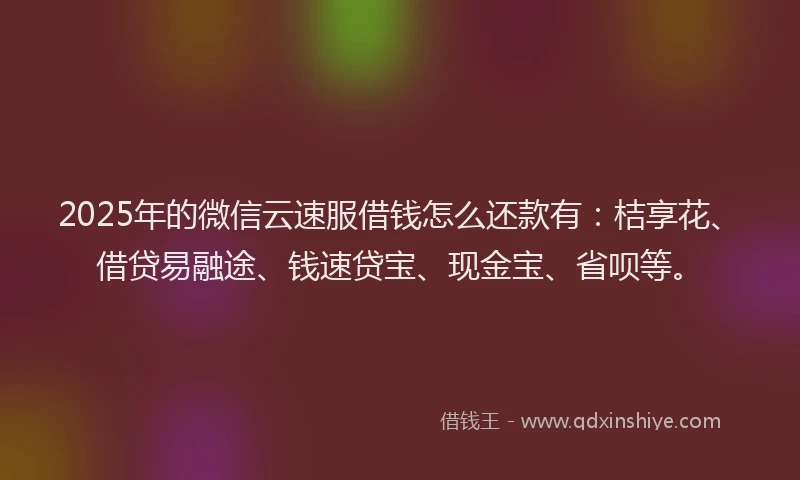 2025年的微信云速服借钱怎么还款有：桔享花、借贷易融途、钱速贷宝、现金宝、省呗等。