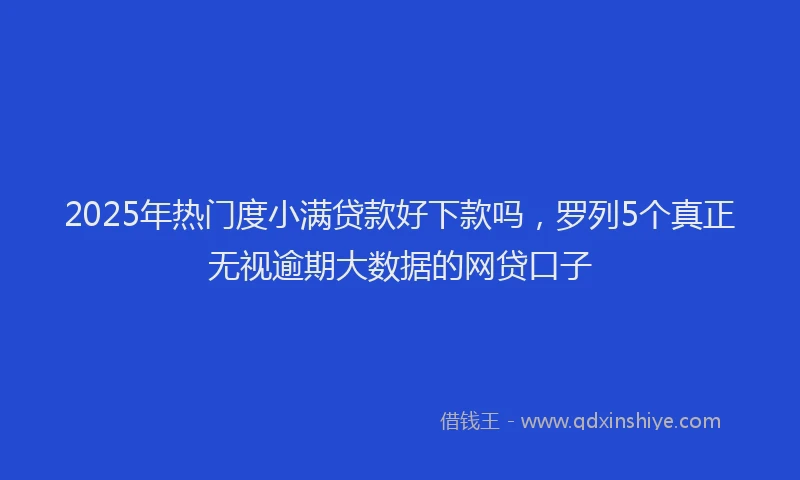 2025年热门度小满贷款好下款吗，罗列5个真正无视逾期大数据的网贷口子