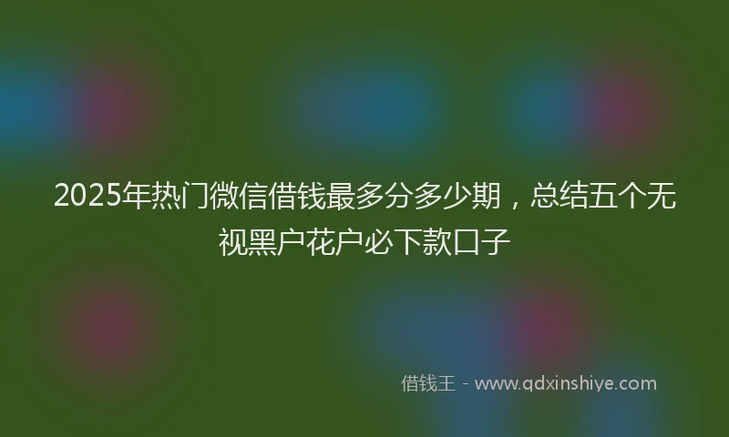2025年热门微信借钱最多分多少期，总结五个无视黑户花户必下款口子