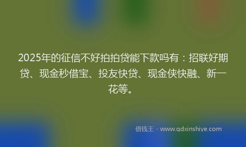 2025年的征信不好拍拍贷能下款吗有：招联好期贷、现金秒借宝、投友快贷、现金侠快融、新一花等。