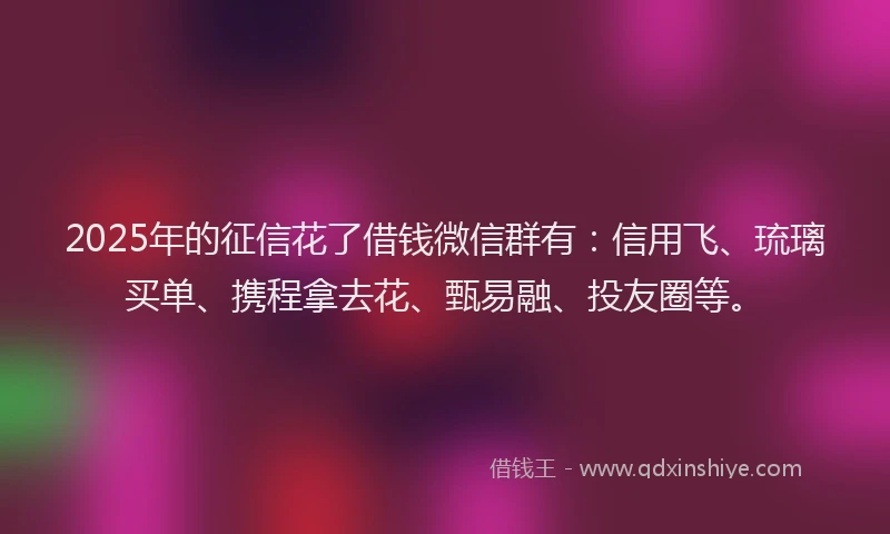 2025年的征信花了借钱微信群有：信用飞、琉璃买单、携程拿去花、甄易融、投友圈等。
