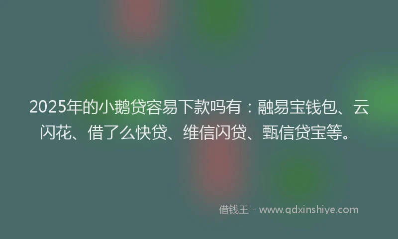 2025年的小鹅贷容易下款吗有：融易宝钱包、云闪花、借了么快贷、维信闪贷、甄信贷宝等。