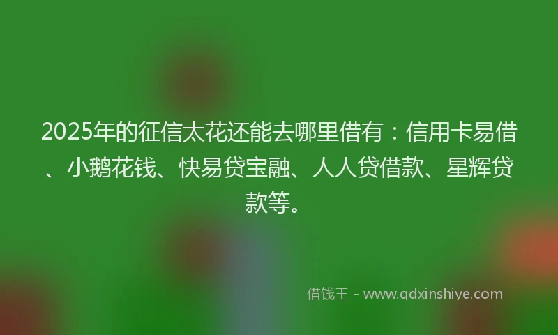 2025年的征信太花还能去哪里借有：信用卡易借、小鹅花钱、快易贷宝融、人人贷借款、星辉贷款等。