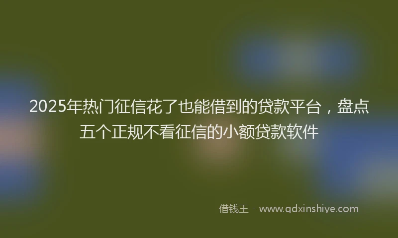 2025年热门征信花了也能借到的贷款平台，盘点五个正规不看征信的小额贷款软件