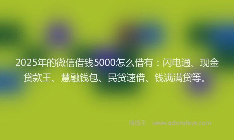 2025年的微信借钱5000怎么借有：闪电通、现金贷款王、慧融钱包、民贷速借、钱满满贷等。