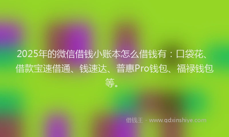 2025年的微信借钱小账本怎么借钱有：口袋花、借款宝速借通、钱速达、普惠Pro钱包、福禄钱包等。