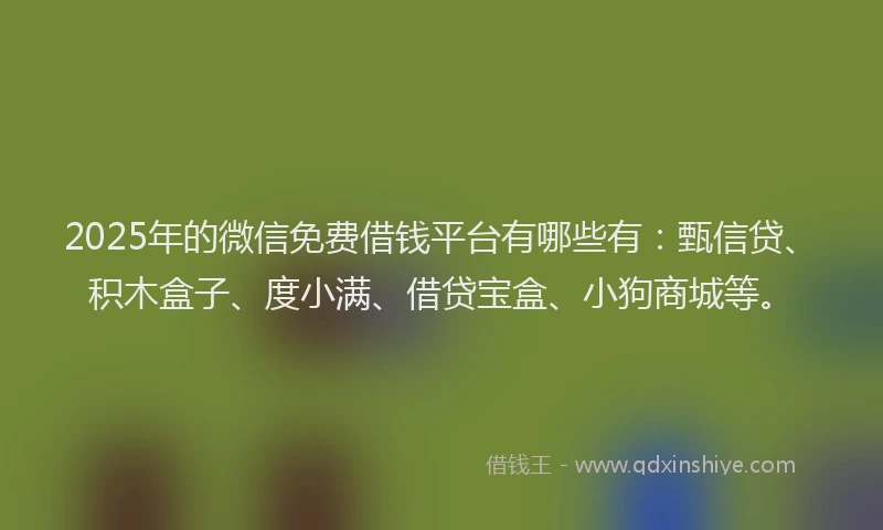 2025年的微信免费借钱平台有哪些有：甄信贷、积木盒子、度小满、借贷宝盒、小狗商城等。