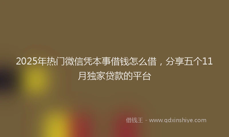 2025年热门微信凭本事借钱怎么借，分享五个11月独家贷款的平台