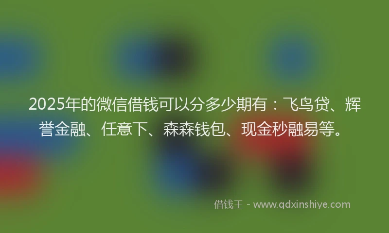2025年的微信借钱可以分多少期有：飞鸟贷、辉誉金融、任意下、森森钱包、现金秒融易等。