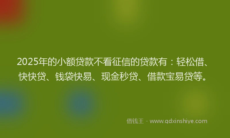 2025年的小额贷款不看征信的贷款有：轻松借、快快贷、钱袋快易、现金秒贷、借款宝易贷等。