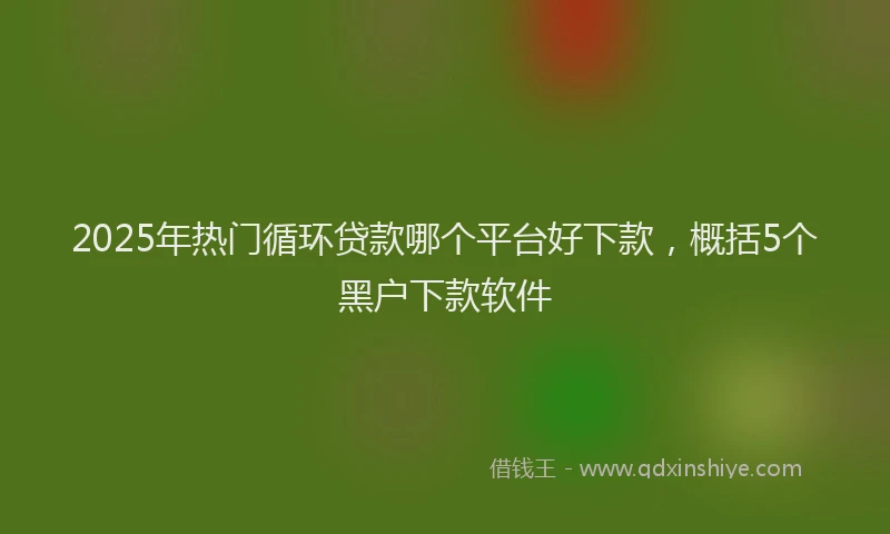 2025年热门循环贷款哪个平台好下款，概括5个黑户下款软件