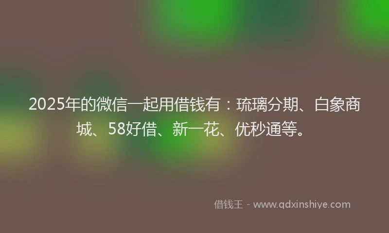 2025年的微信一起用借钱有：琉璃分期、白象商城、58好借、新一花、优秒通等。