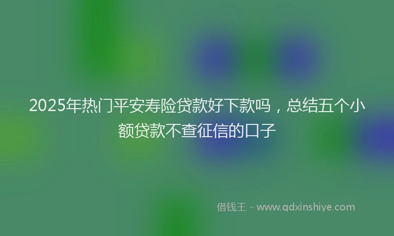 2025年热门平安寿险贷款好下款吗，总结五个小额贷款不查征信的口子
