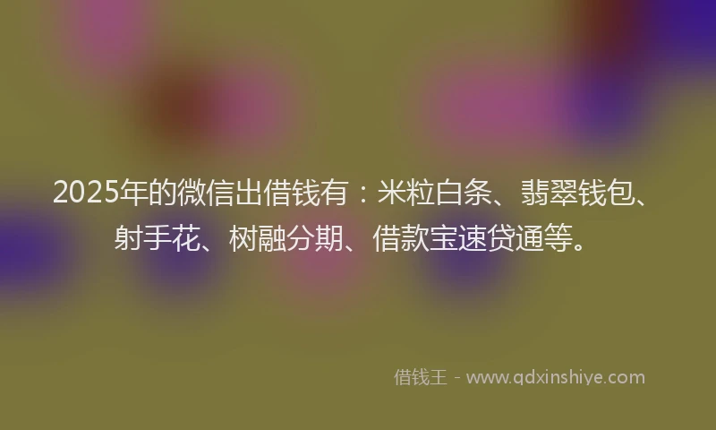 2025年的微信出借钱有：米粒白条、翡翠钱包、射手花、树融分期、借款宝速贷通等。