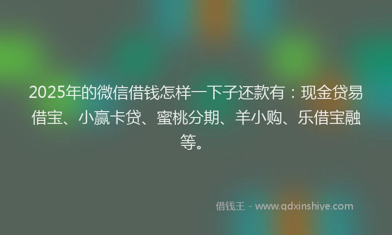 2025年的微信借钱怎样一下子还款有：现金贷易借宝、小赢卡贷、蜜桃分期、羊小购、乐借宝融等。