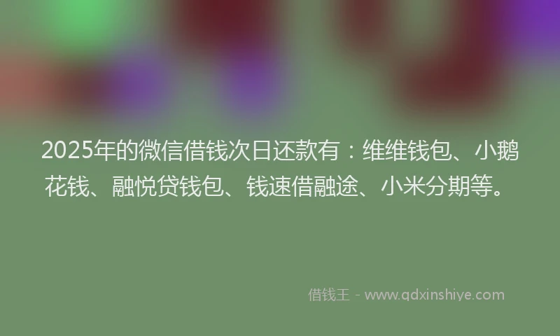 2025年的微信借钱次日还款有：维维钱包、小鹅花钱、融悦贷钱包、钱速借融途、小米分期等。