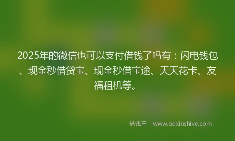 2025年的微信也可以支付借钱了吗有：闪电钱包、现金秒借贷宝、现金秒借宝途、天天花卡、友福租机等。