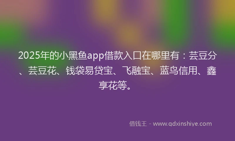 2025年的小黑鱼app借款入口在哪里有：芸豆分、芸豆花、钱袋易贷宝、飞融宝、蓝鸟信用、鑫享花等。