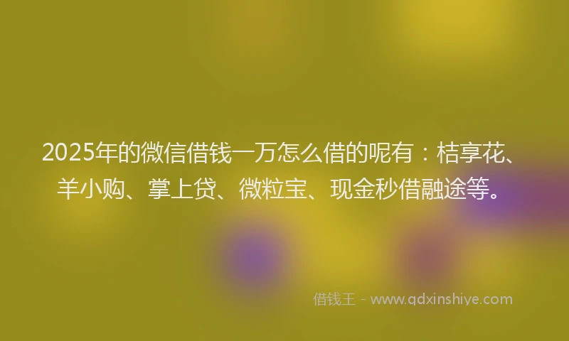 2025年的微信借钱一万怎么借的呢有:桔享花、羊小购、掌上贷、微粒宝、现金秒借融途等。