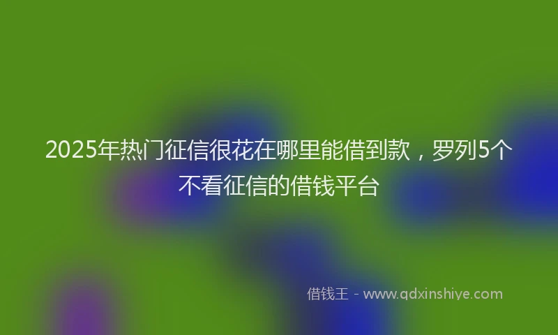 2025年热门征信很花在哪里能借到款，罗列5个不看征信的借钱平台