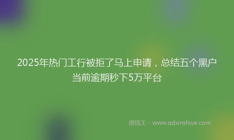 2025年热门工行被拒了马上申请，总结五个黑户当前逾期秒下5万平台