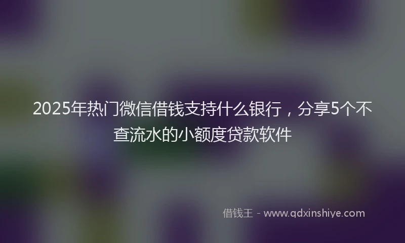 2025年热门微信借钱支持什么银行，分享5个不查流水的小额度贷款软件
