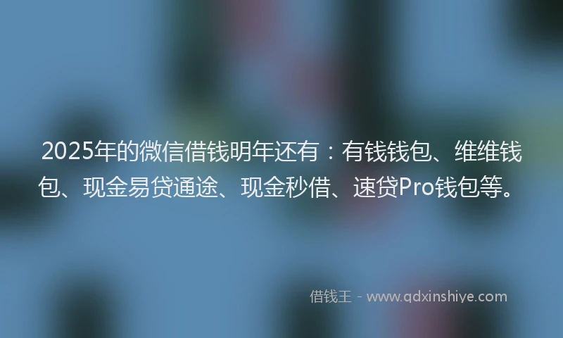 2025年的微信借钱明年还有：有钱钱包、维维钱包、现金易贷通途、现金秒借、速贷Pro钱包等。