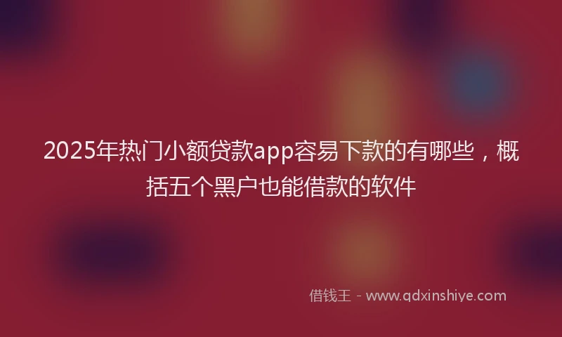 2025年热门小额贷款app容易下款的有哪些，概括五个黑户也能借款的软件
