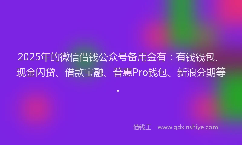 2025年的微信借钱公众号备用金有：有钱钱包、现金闪贷、借款宝融、普惠Pro钱包、新浪分期等。