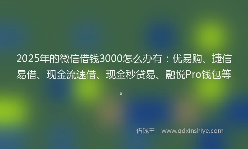 2025年的微信借钱3000怎么办有:优易购、捷信易借、现金流速借、现金秒贷易、融悦Pro钱包等。