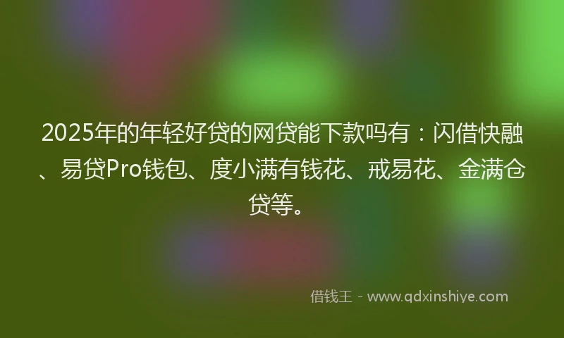 2025年的年轻好贷的网贷能下款吗有:闪借快融、易贷Pro钱包、度小满有钱花、戒易花、金满仓贷等。