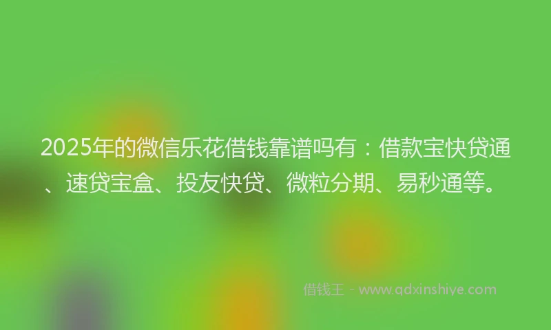 2025年的微信乐花借钱靠谱吗有：借款宝快贷通、速贷宝盒、投友快贷、微粒分期、易秒通等。