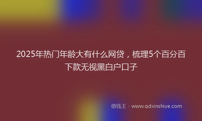 2025年热门年龄大有什么网贷，梳理5个百分百下款无视黑白户口子