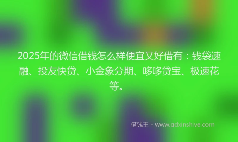 2025年的微信借钱怎么样便宜又好借有：钱袋速融、投友快贷、小金象分期、哆哆贷宝、极速花等。