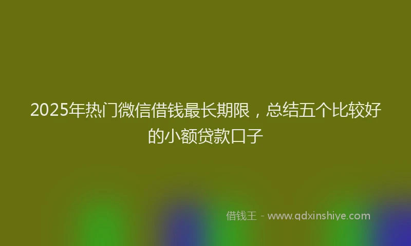 2025年热门微信借钱最长期限，总结五个比较好的小额贷款口子