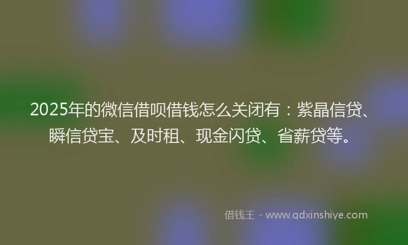 2025年的微信借呗借钱怎么关闭有：紫晶信贷、瞬信贷宝、及时租、现金闪贷、省薪贷等。