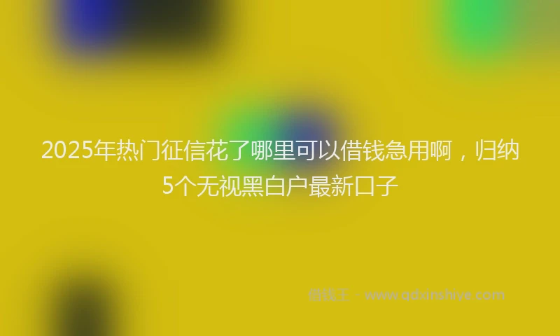 2025年热门征信花了哪里可以借钱急用啊，归纳5个无视黑白户最新口子