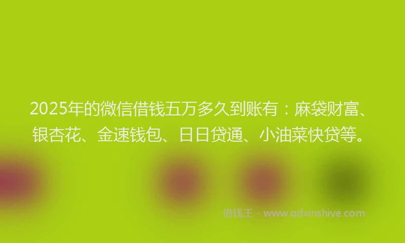 2025年的微信借钱五万多久到账有:麻袋财富、银杏花、金速钱包、日日贷通、小油菜快贷等。
