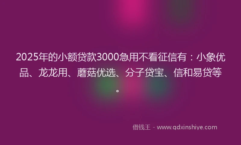 2025年的小额贷款3000急用不看征信有：小象优品、龙龙用、蘑菇优选、分子贷宝、信和易贷等。