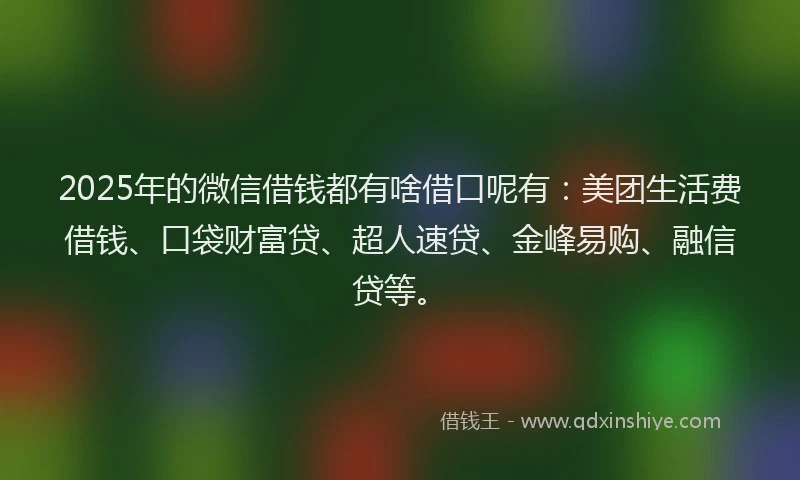 2025年的微信借钱都有啥借口呢有：美团生活费借钱、口袋财富贷、超人速贷、金峰易购、融信贷等。