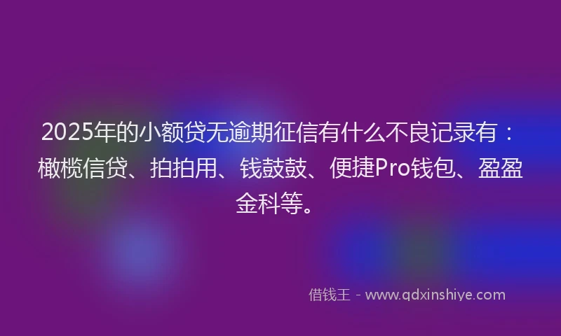 2025年的小额贷无逾期征信有什么不良记录有：橄榄信贷、拍拍用、钱鼓鼓、便捷Pro钱包、盈盈金科等。