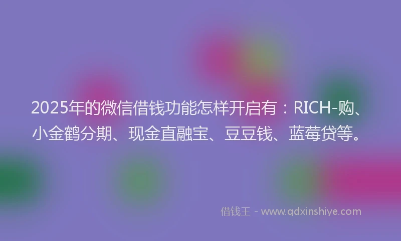 2025年的微信借钱功能怎样开启有：RICH-购、小金鹤分期、现金直融宝、豆豆钱、蓝莓贷等。