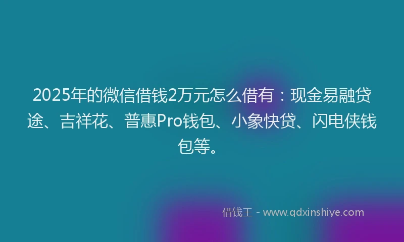 2025年的微信借钱2万元怎么借有：现金易融贷途、吉祥花、普惠Pro钱包、小象快贷、闪电侠钱包等。