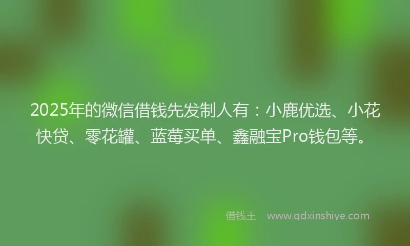 2025年的微信借钱先发制人有：小鹿优选、小花快贷、零花罐、蓝莓买单、鑫融宝Pro钱包等。
