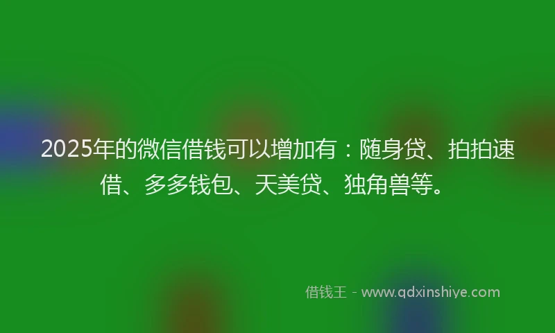 2025年的微信借钱可以增加有：随身贷、拍拍速借、多多钱包、天美贷、独角兽等。